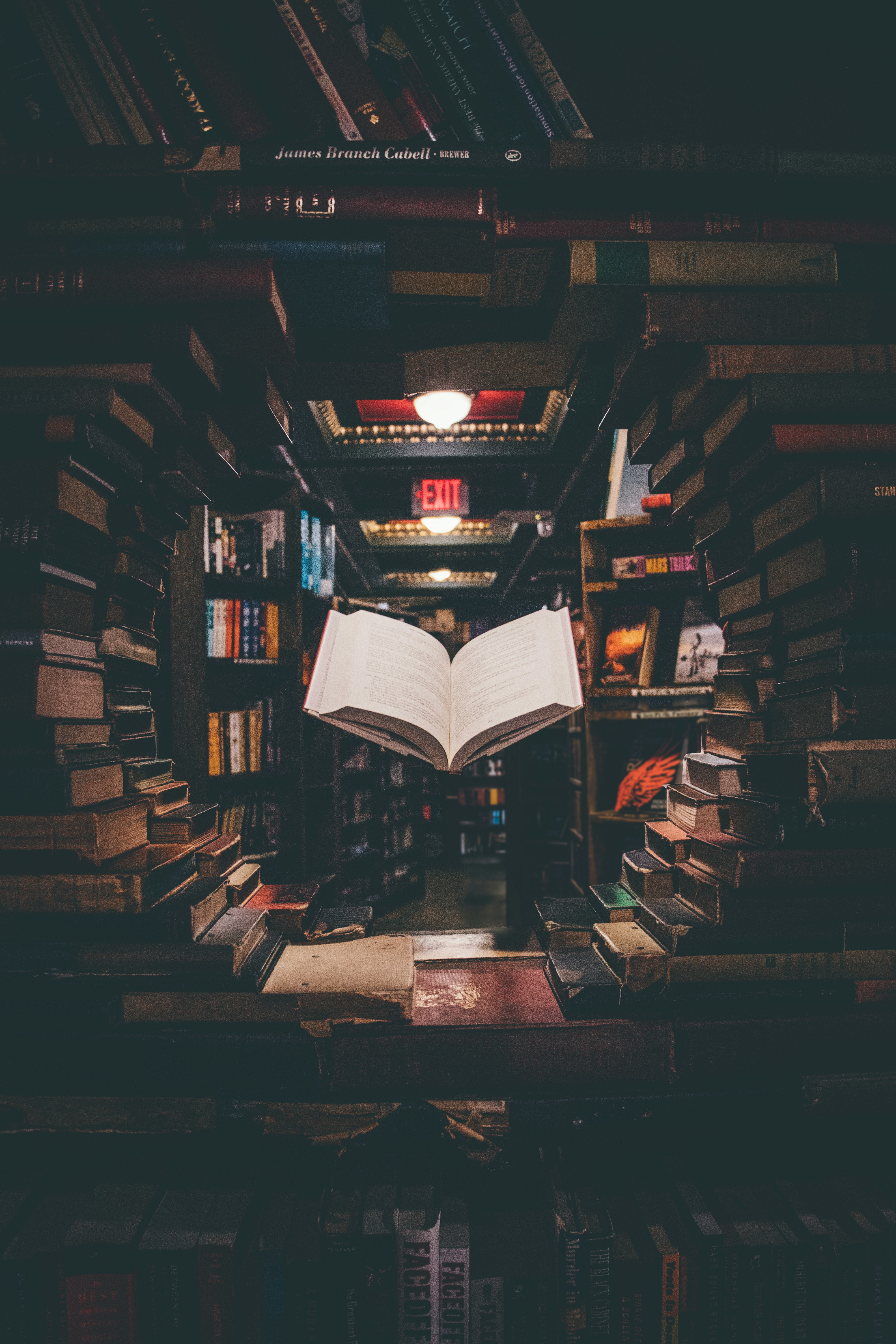 Education Insight